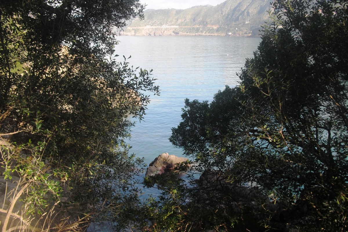Scenic view of Algeria