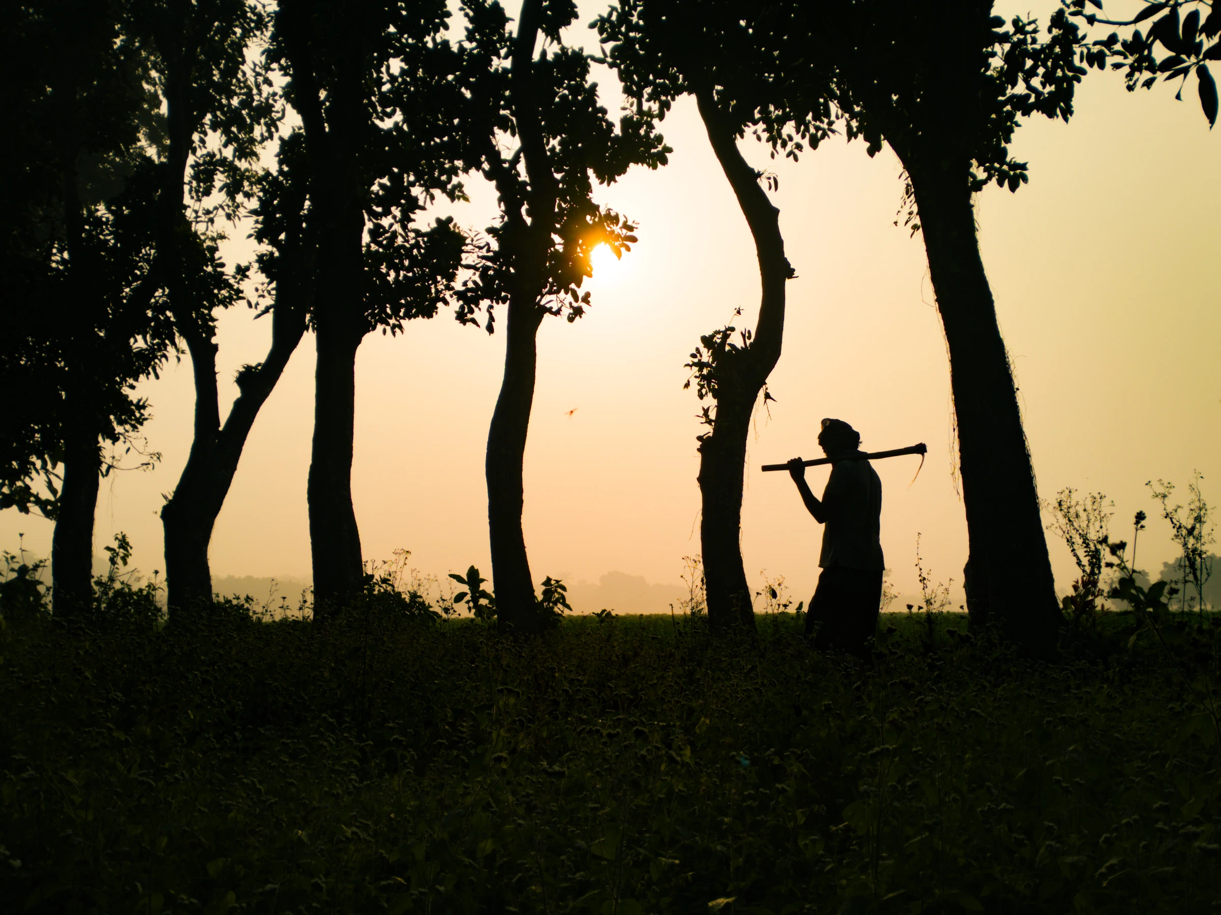 Scenic view of Bangladesh