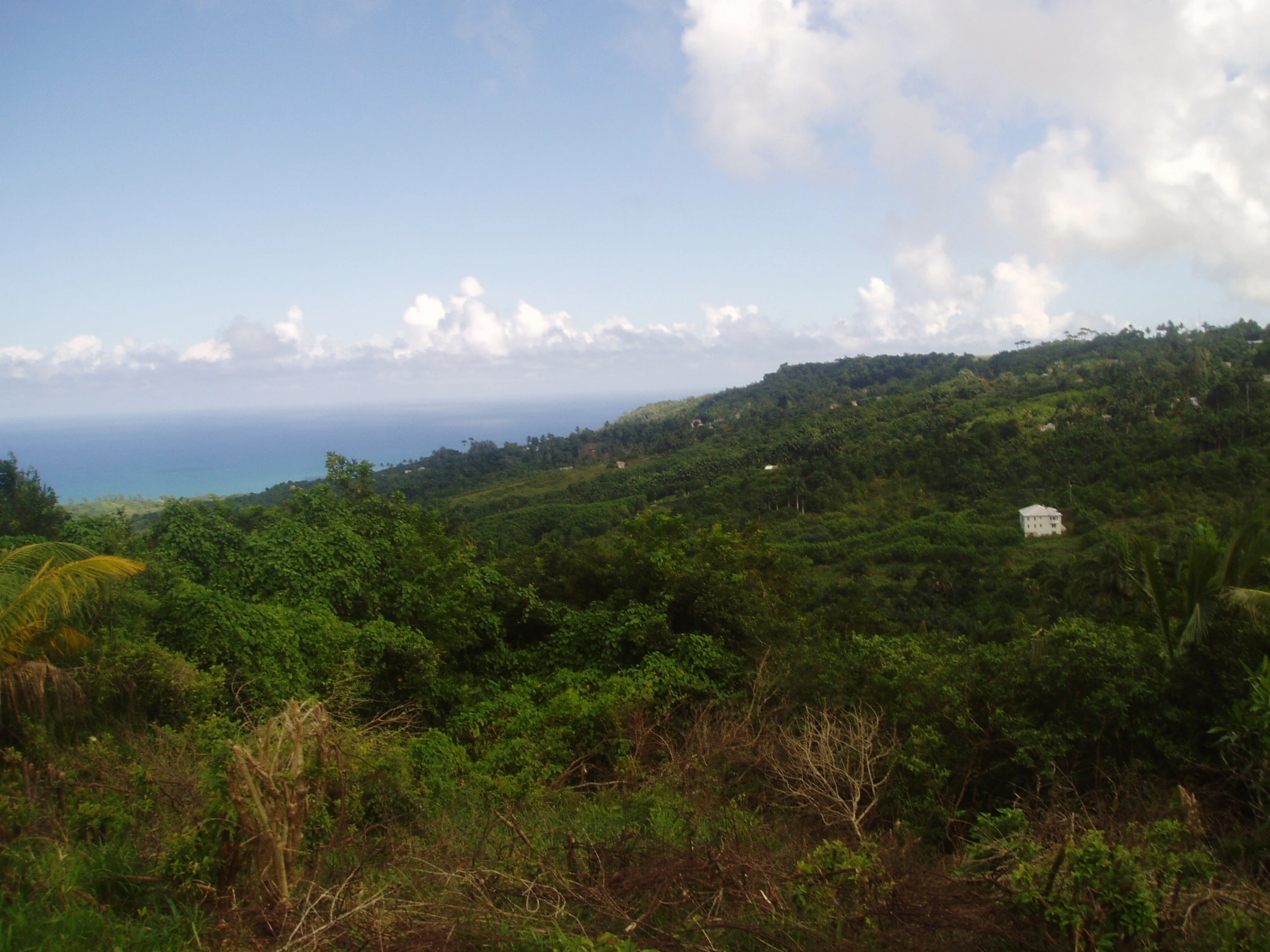 Scenic view of Barbados