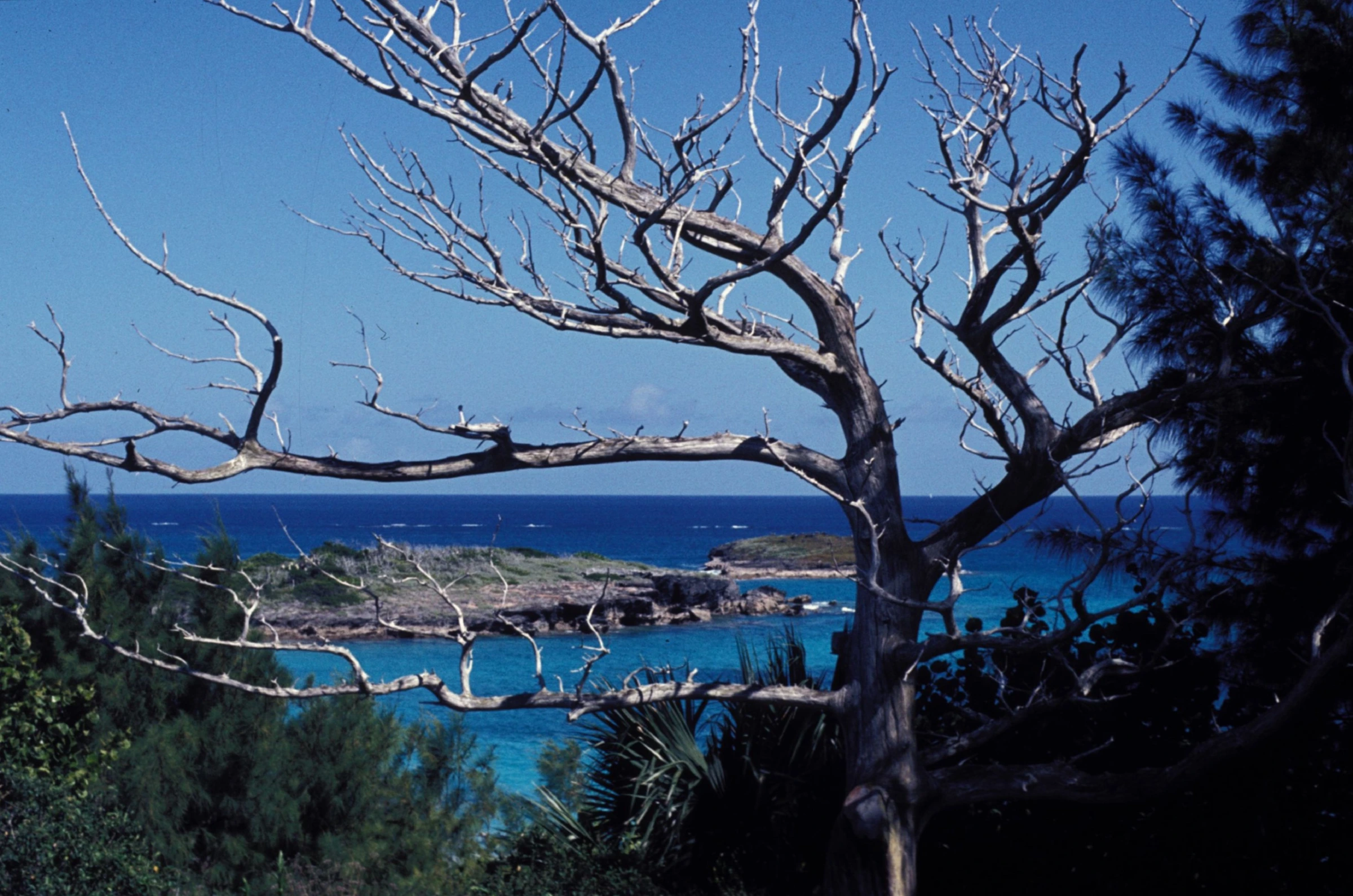 Scenic view of Bermuda