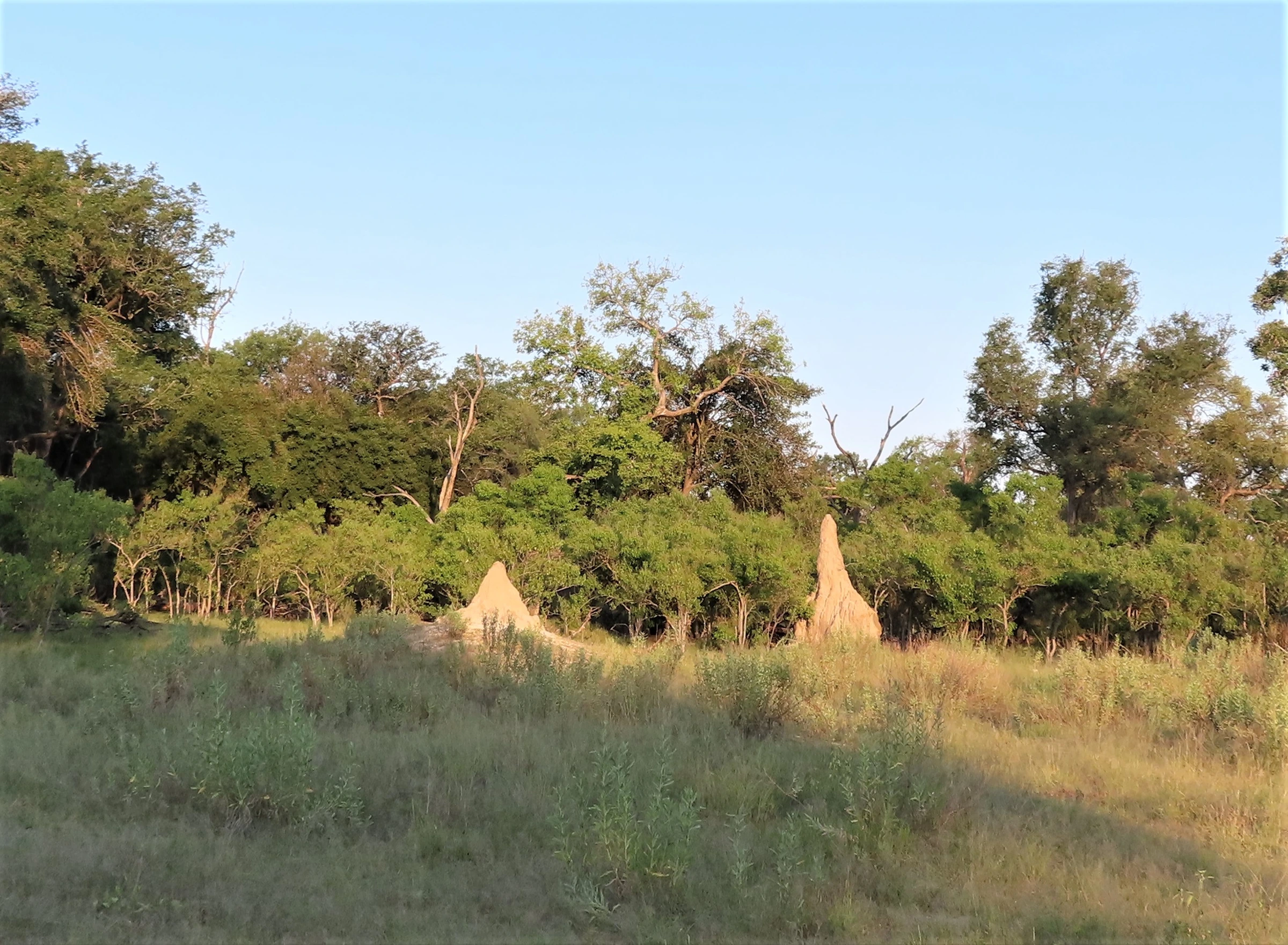 Scenic view of Botswana