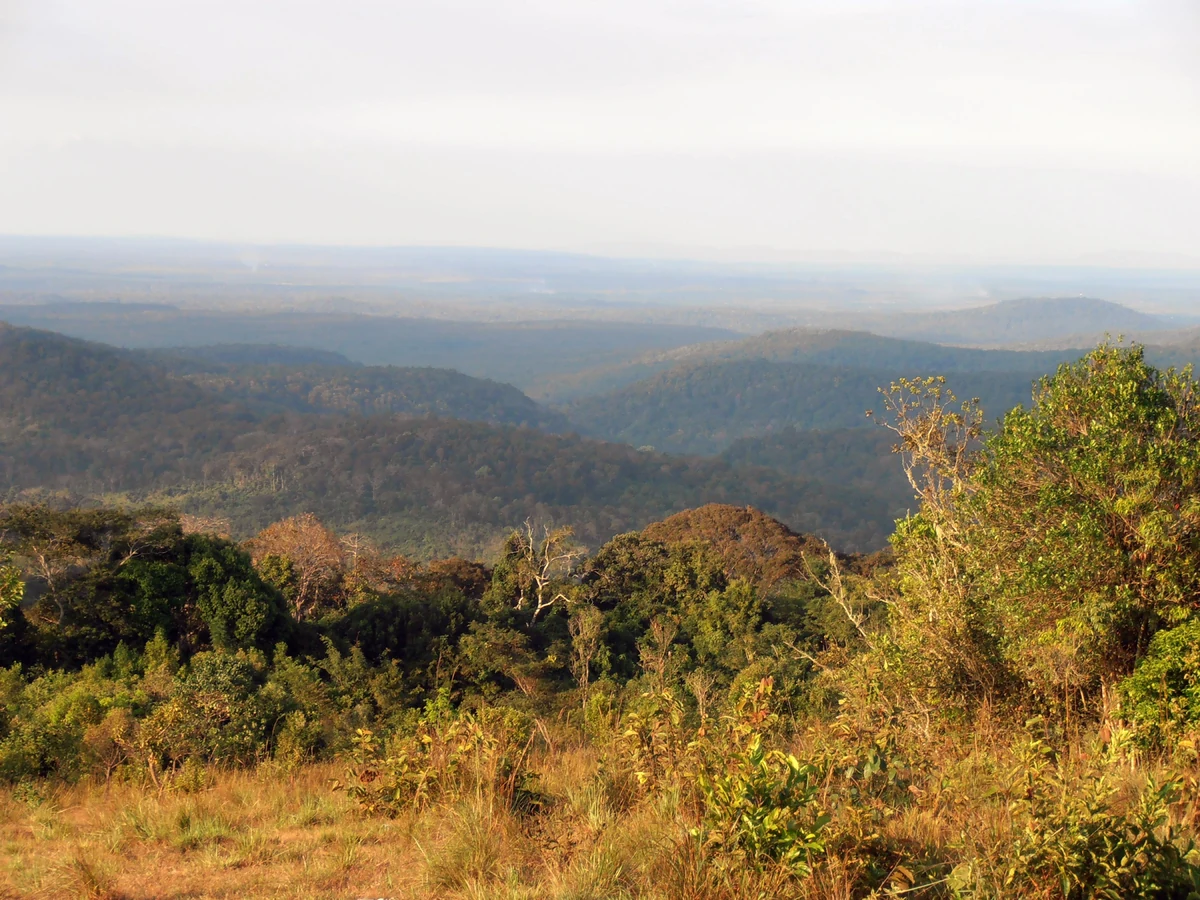 Scenic view of Cambodia