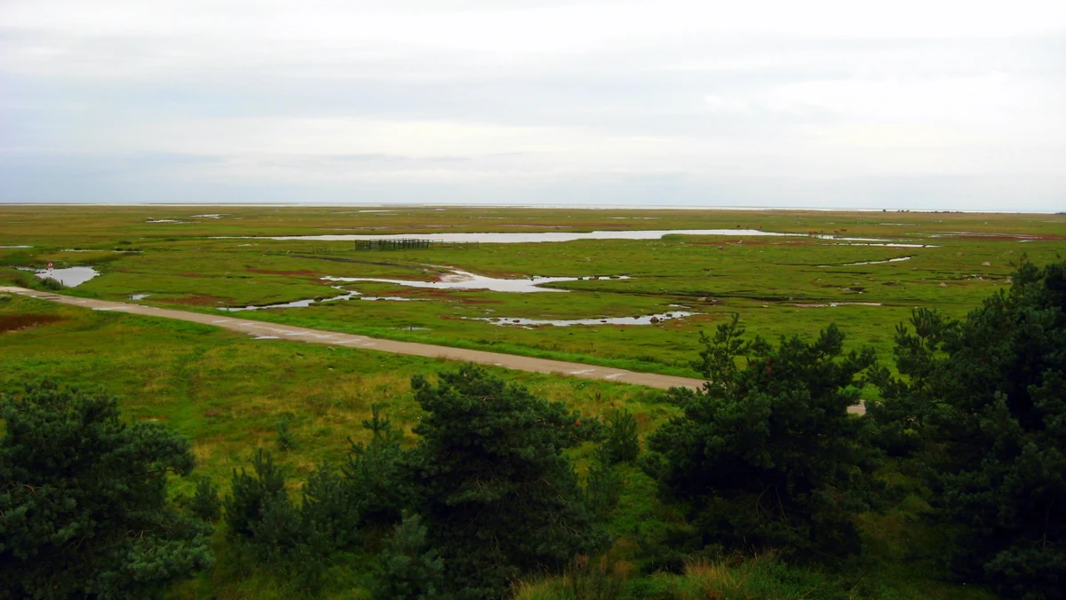Scenic view of Denmark