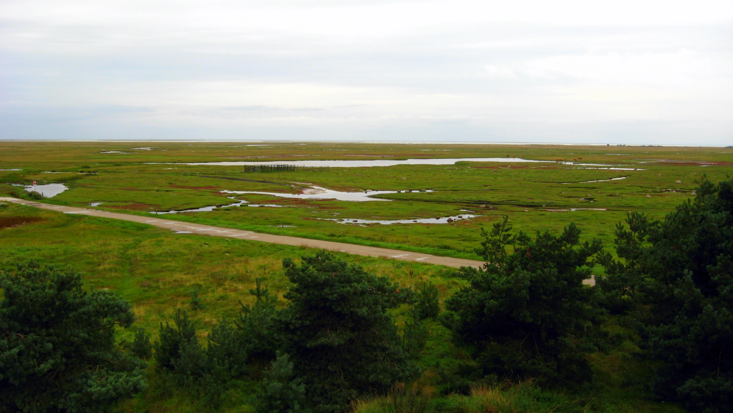 Scenic view of Denmark