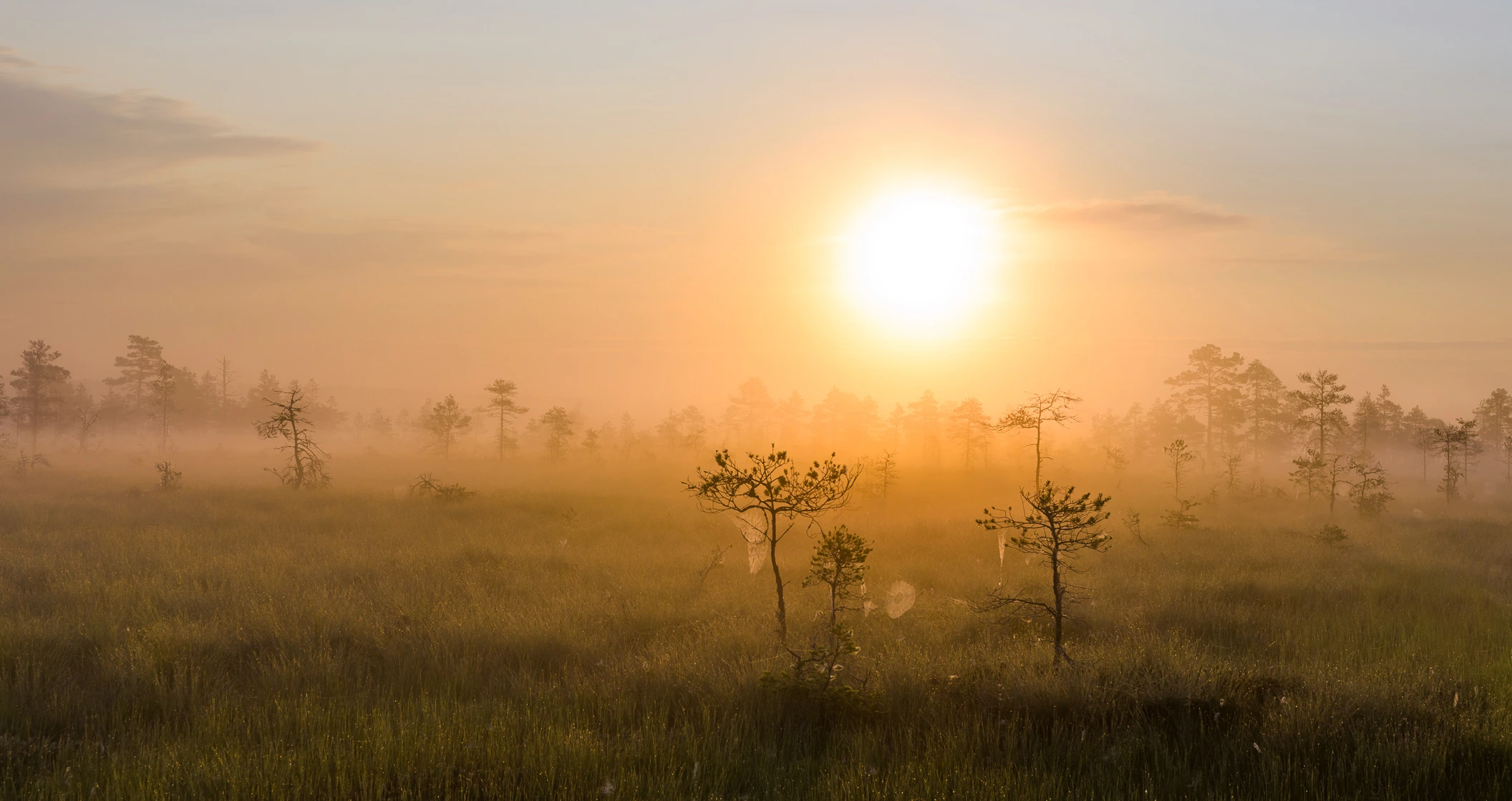 Scenic view of Estonia