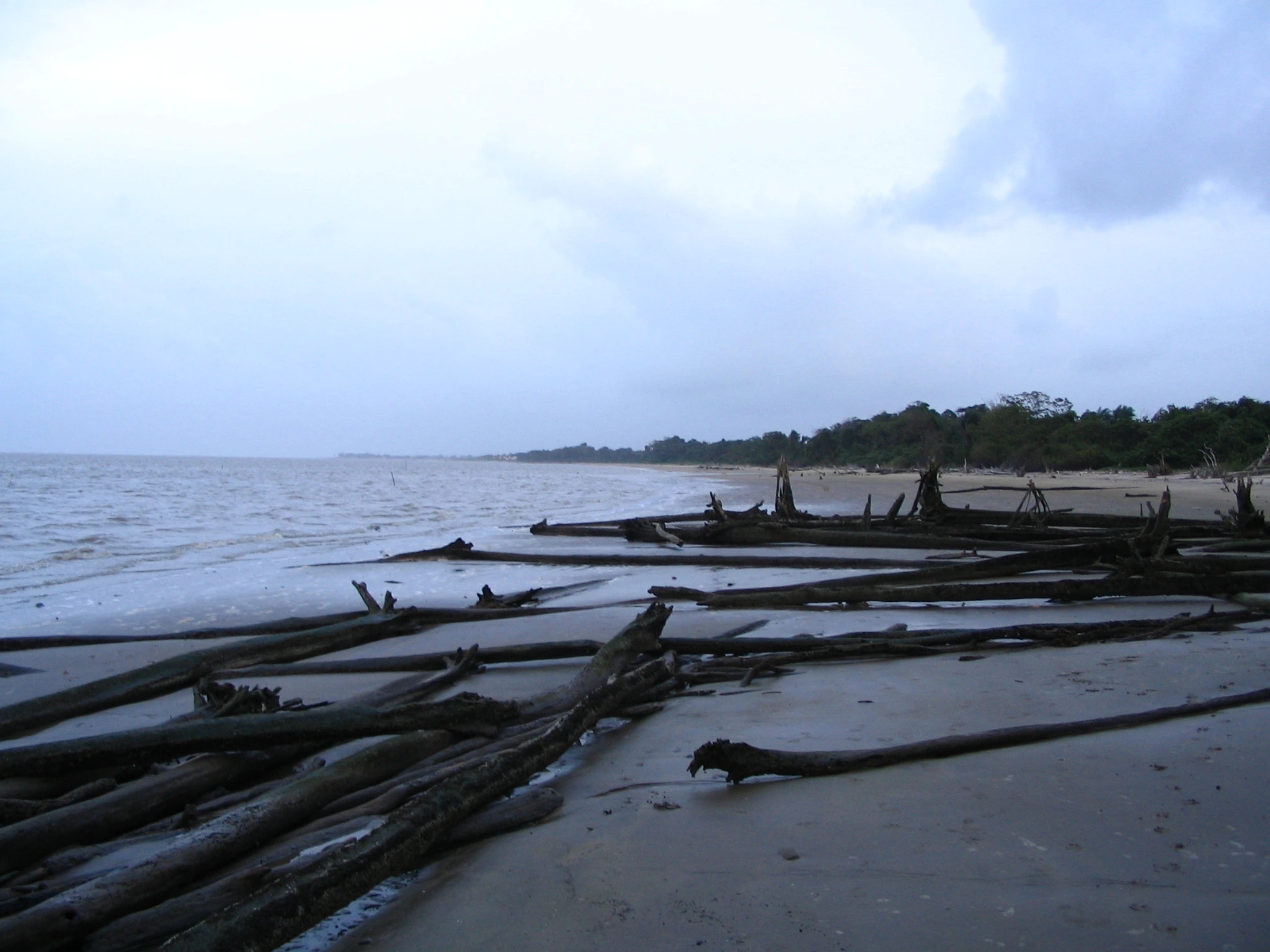 Scenic view of French Guiana