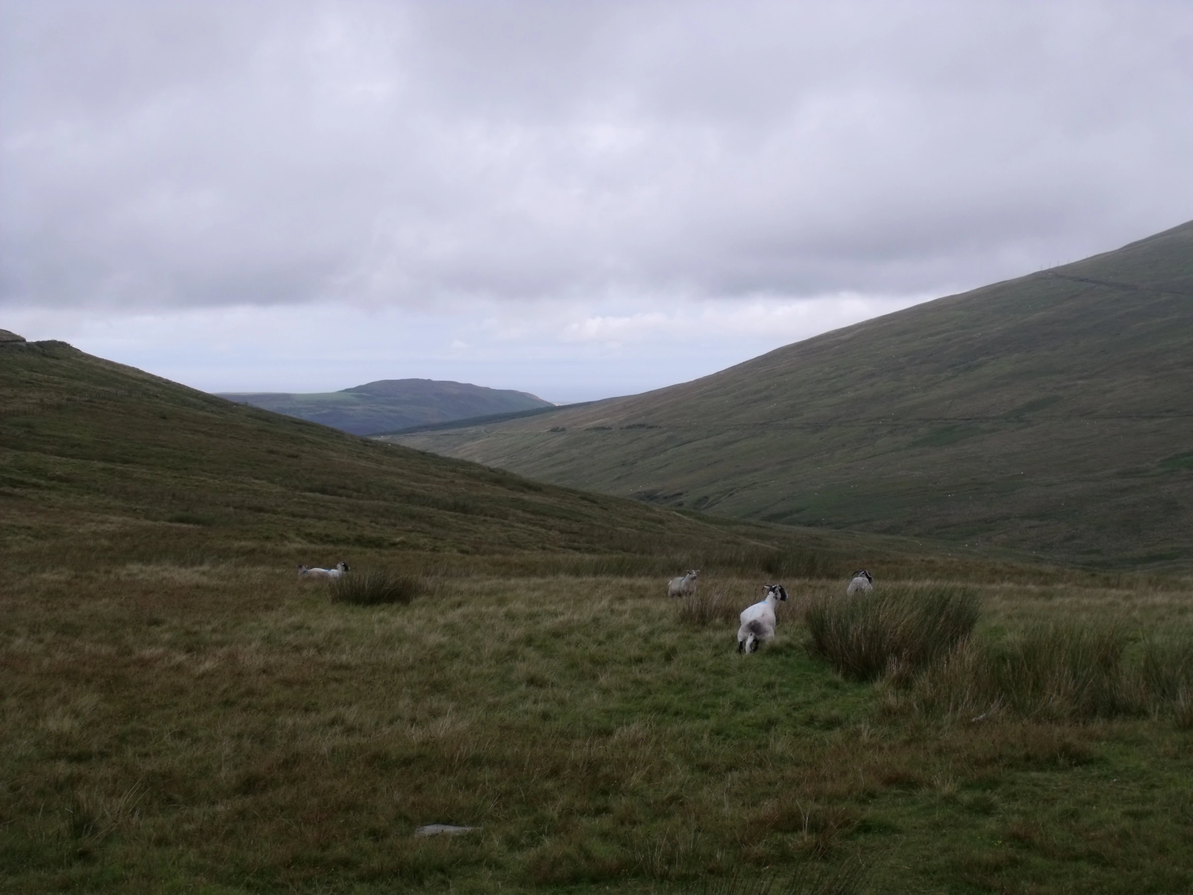 Scenic view of Isle of Man