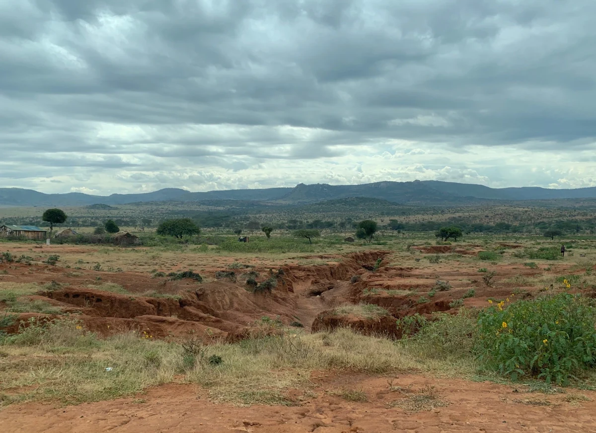 Scenic view of Kenya