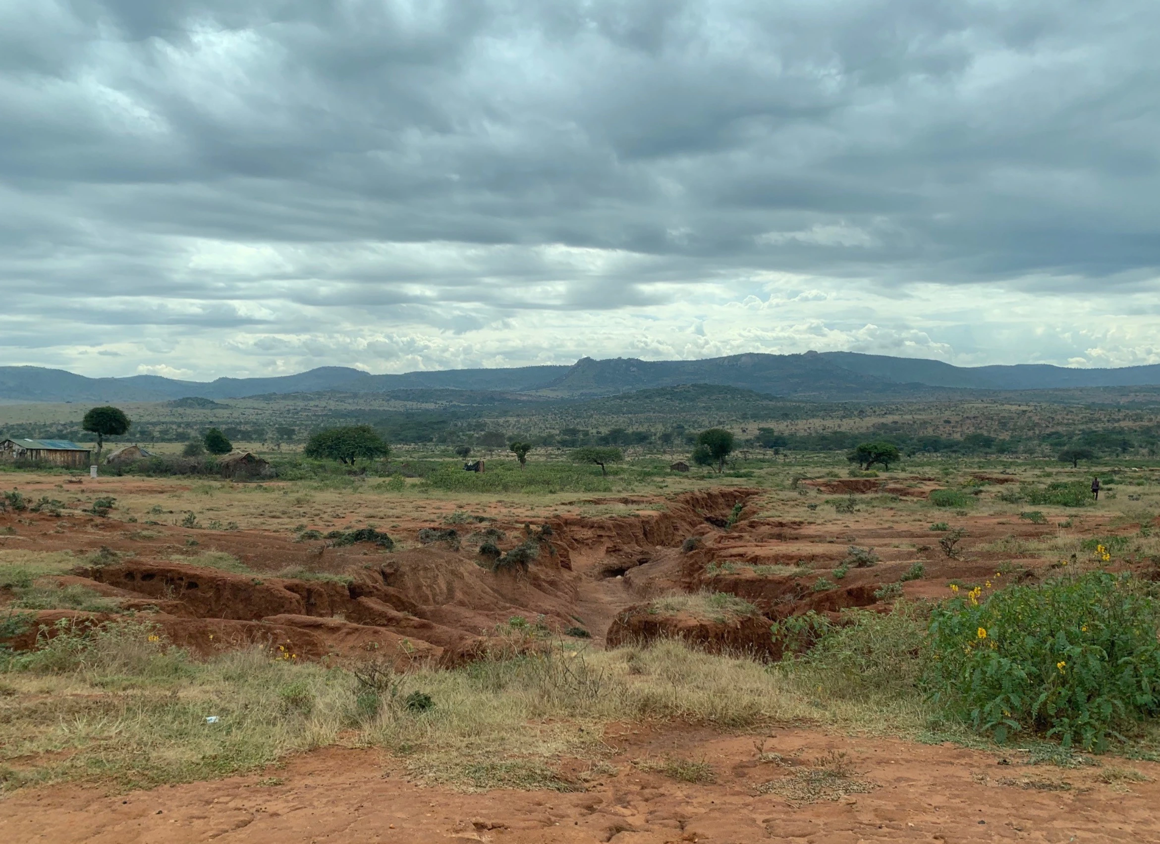 Scenic view of Kenya