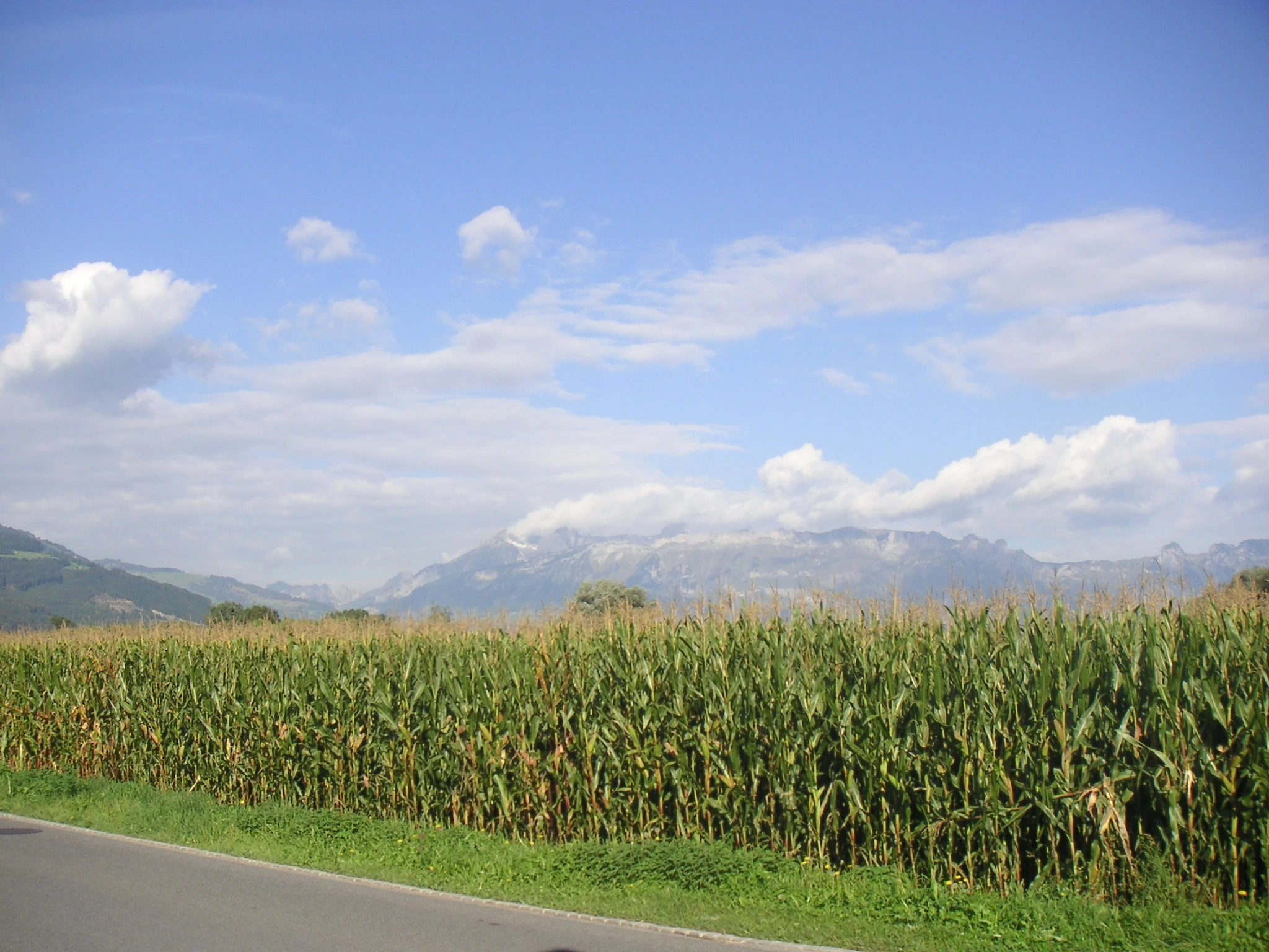 Scenic view of Liechtenstein