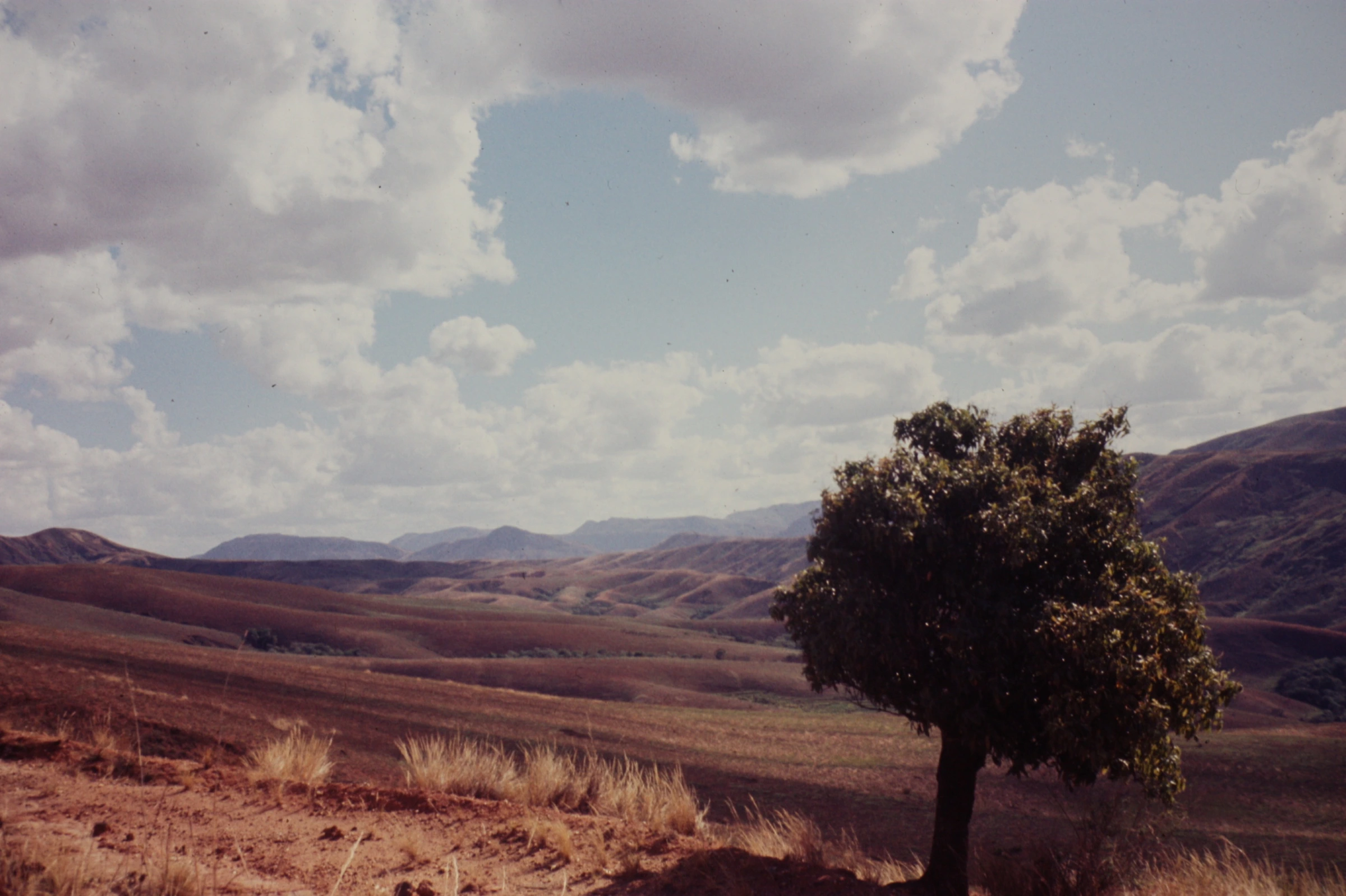 Scenic view of Madagascar