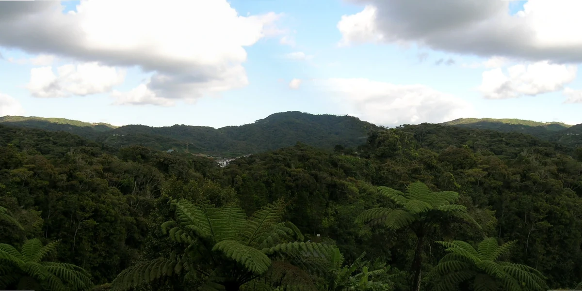 Scenic view of Malaysia