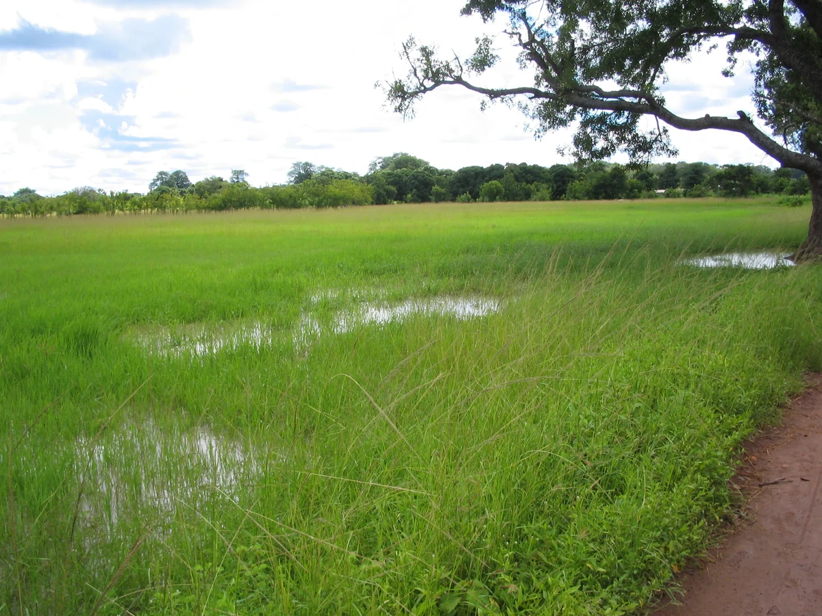 Scenic view of Mali