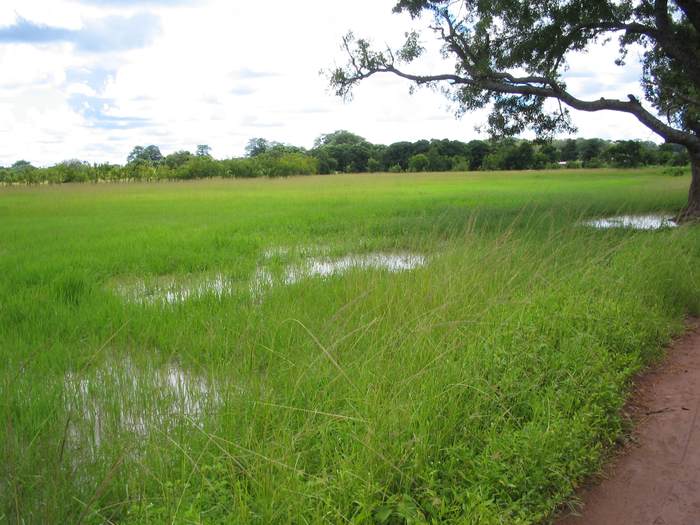 Scenic view of Mali