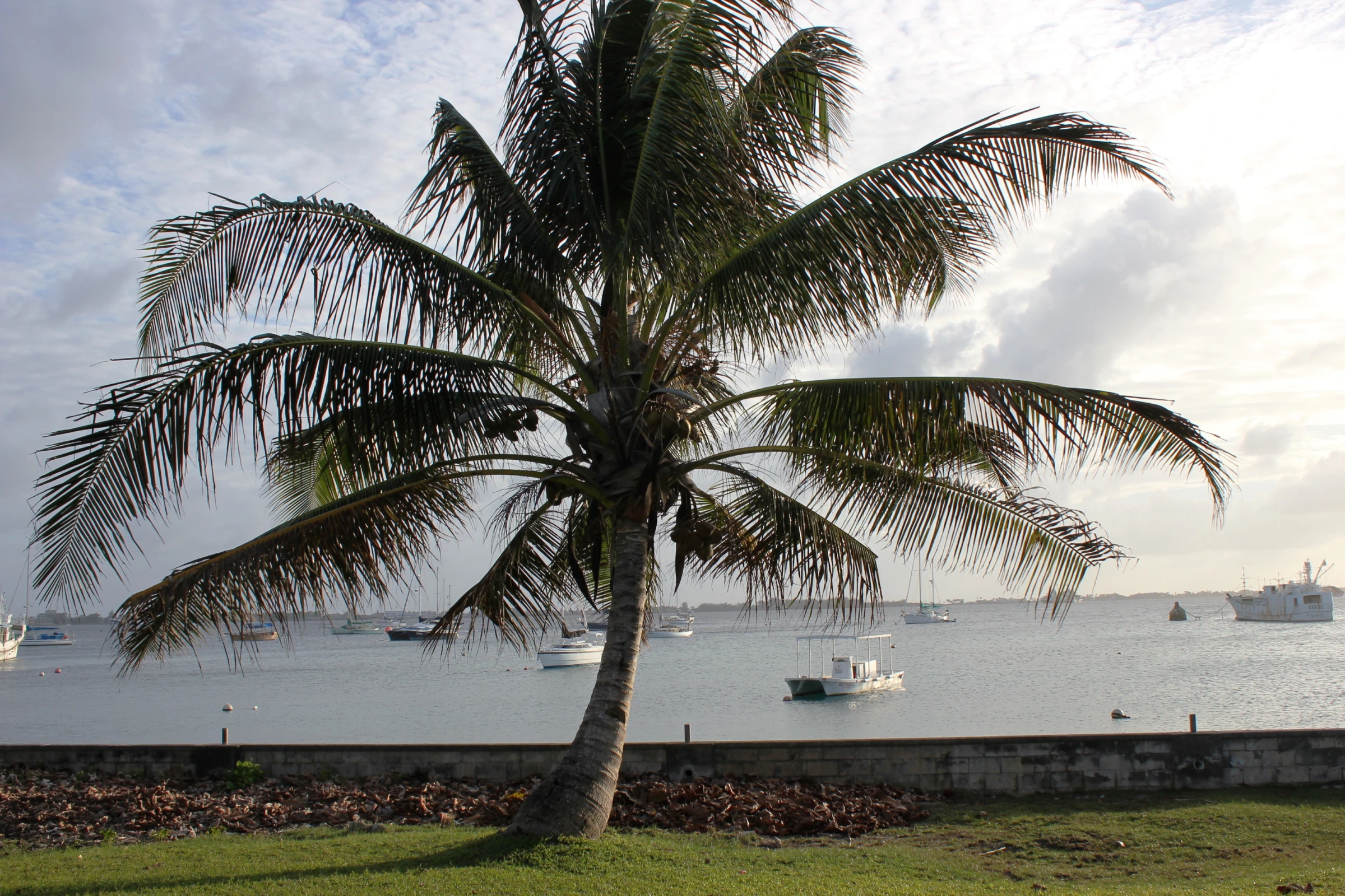Scenic view of Marshall Islands