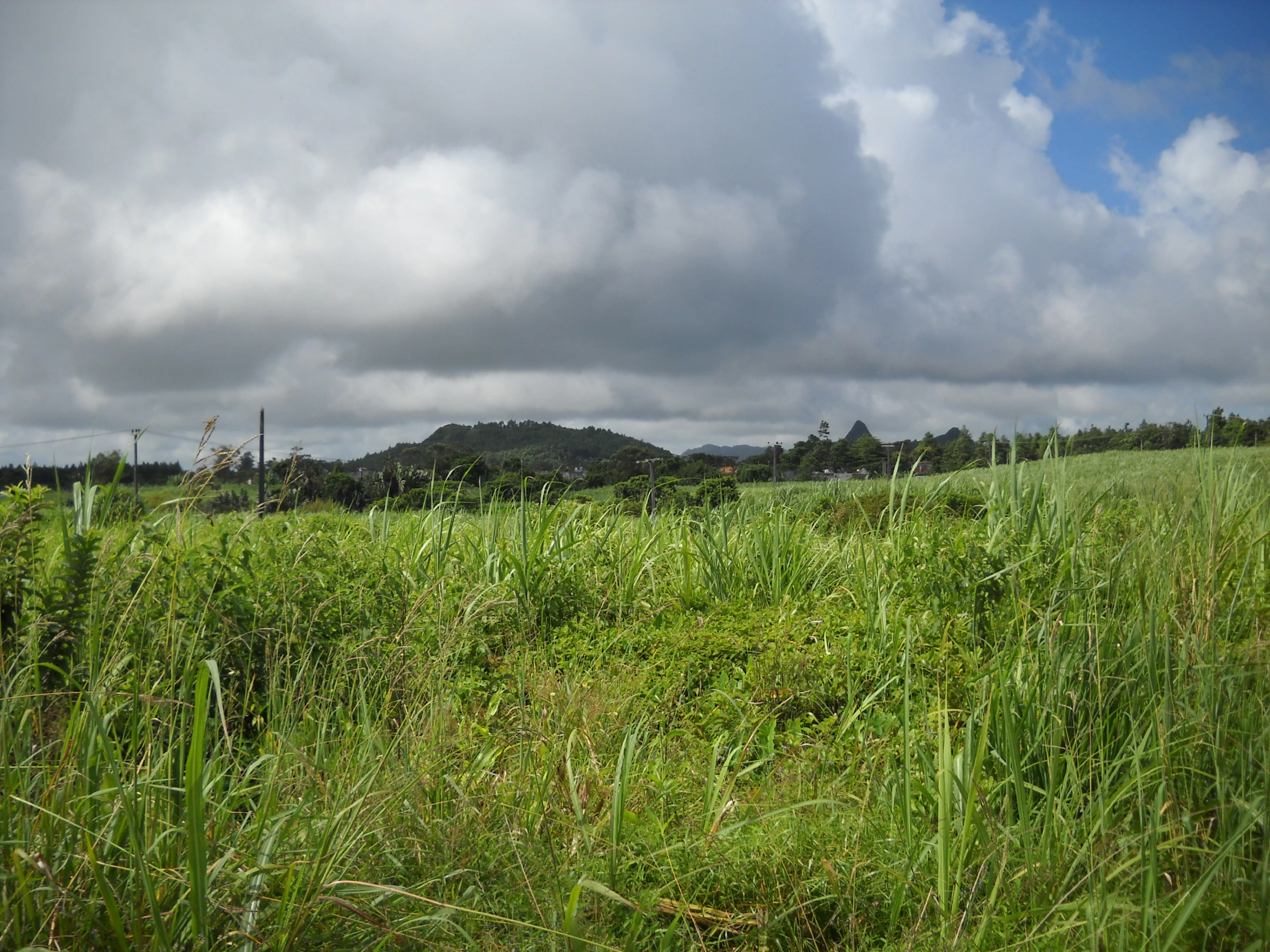 Scenic view of Mauritius