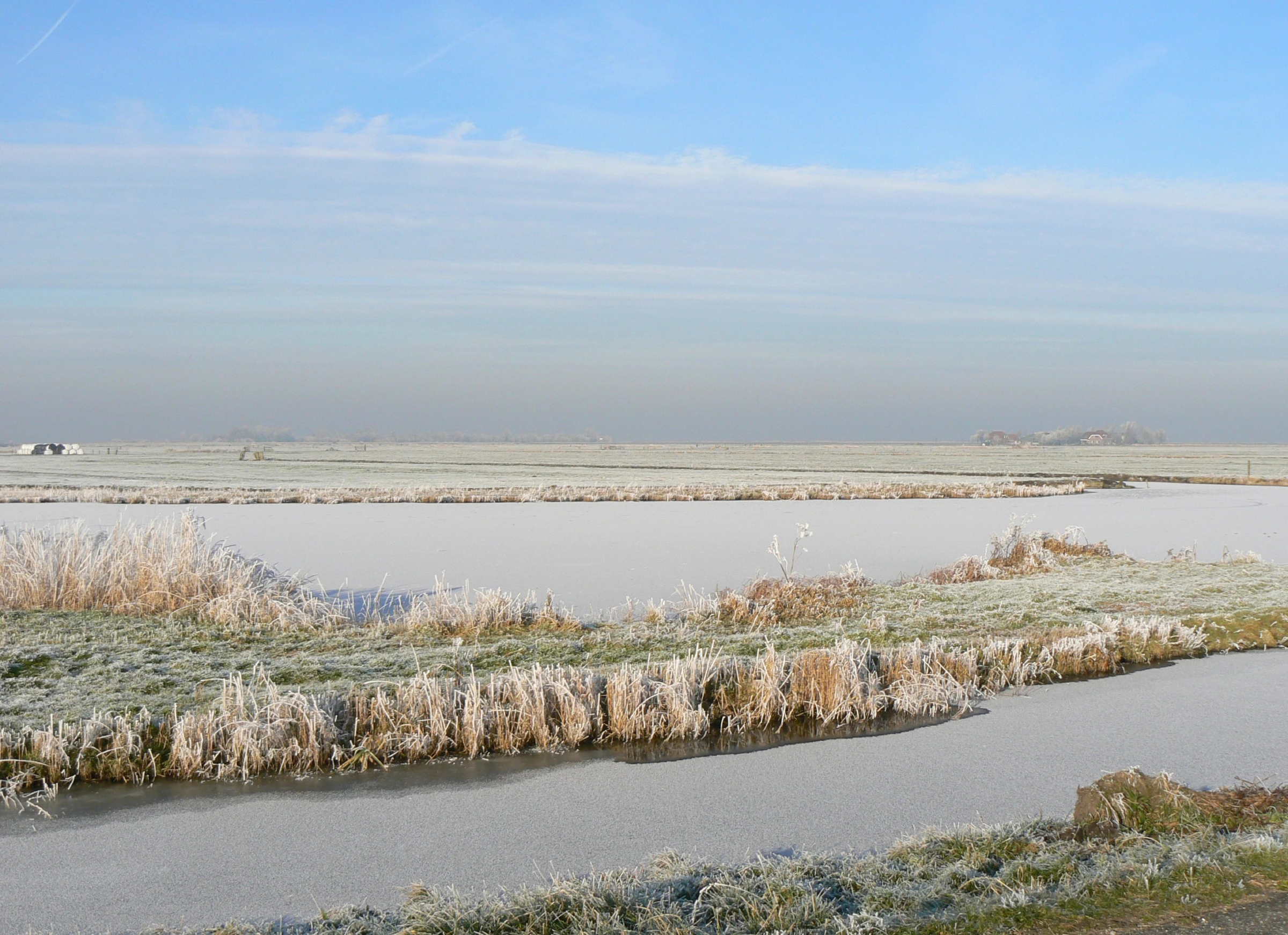 Scenic view of Netherlands