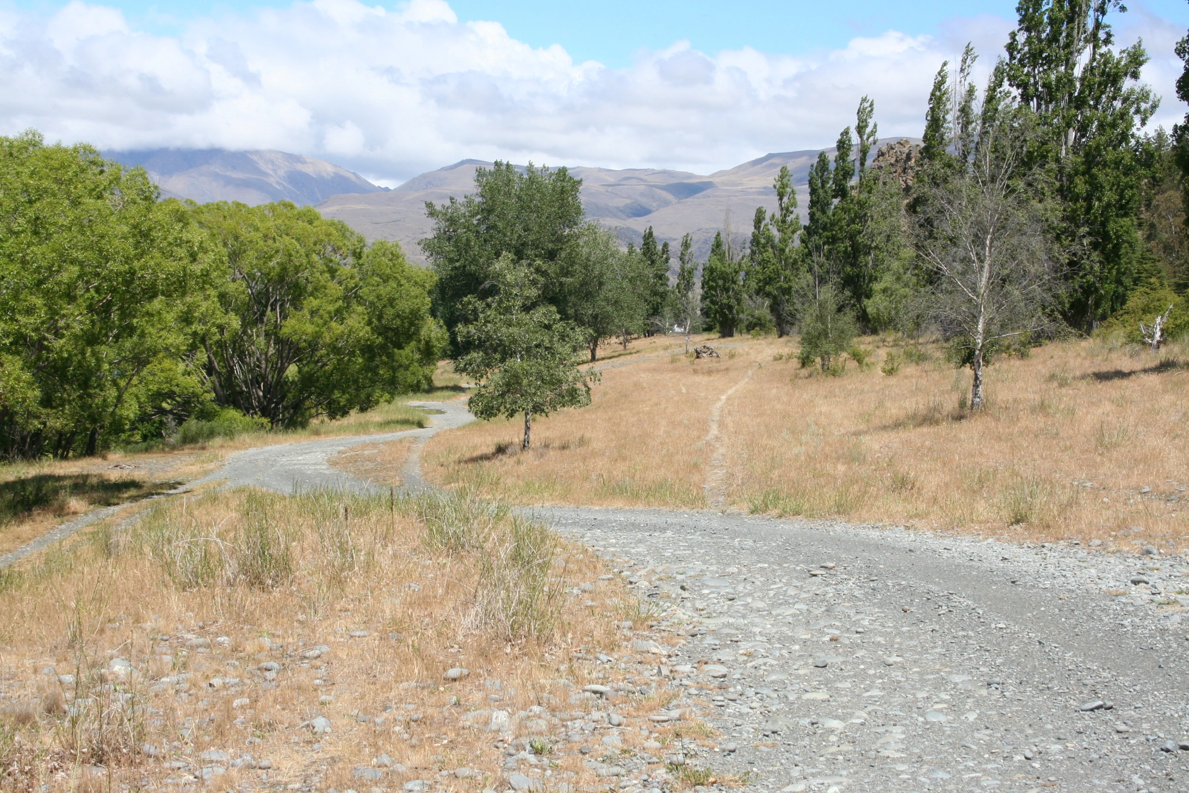 Scenic view of New Zealand