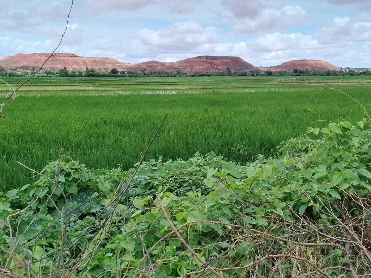 Scenic view of Niger