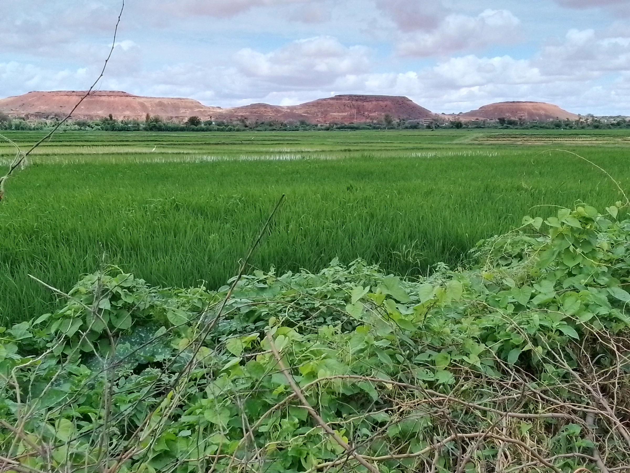 Scenic view of Niger