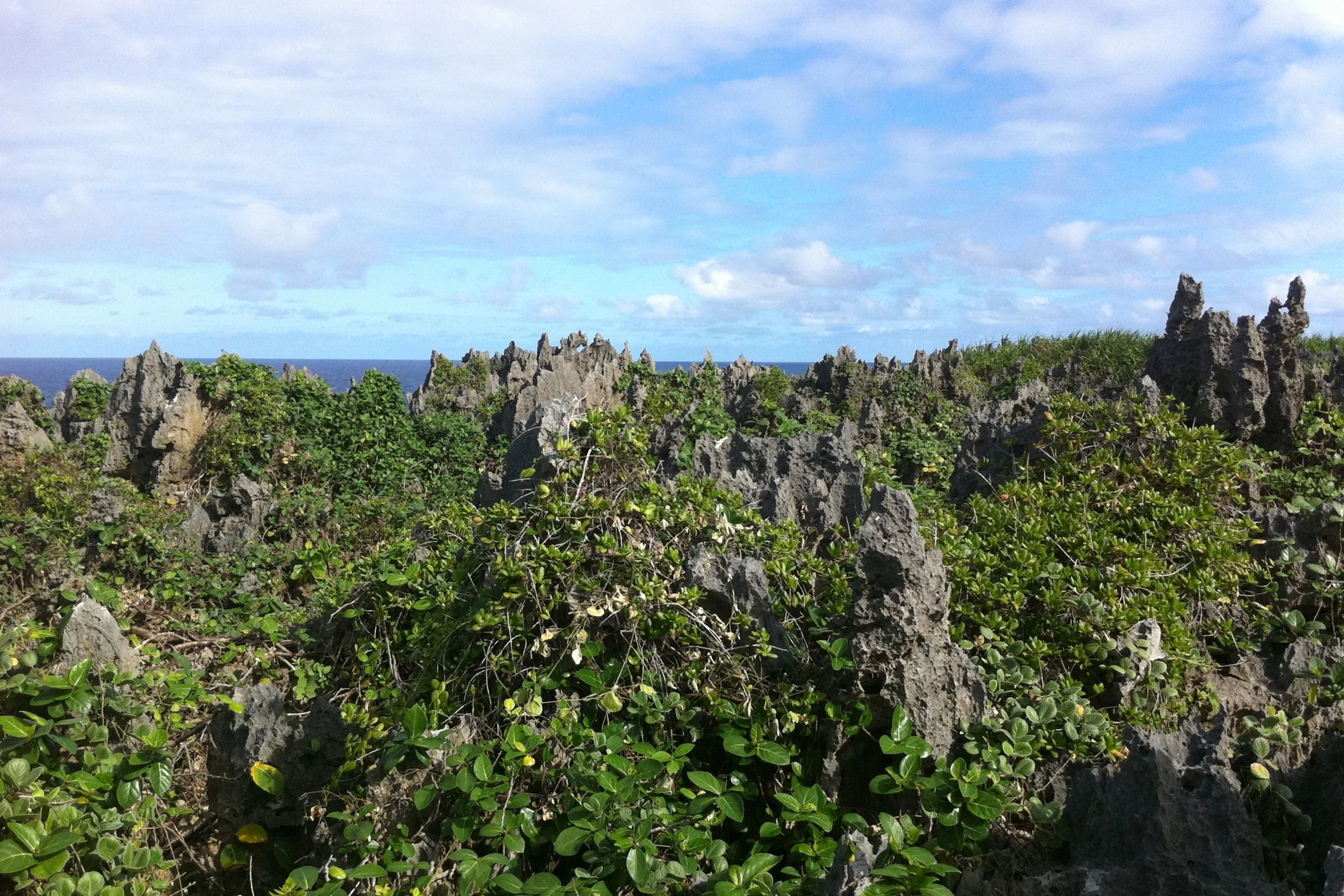 Scenic view of Niue