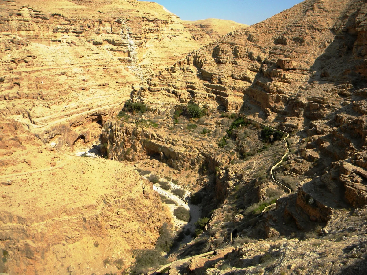 Scenic view of Palestine