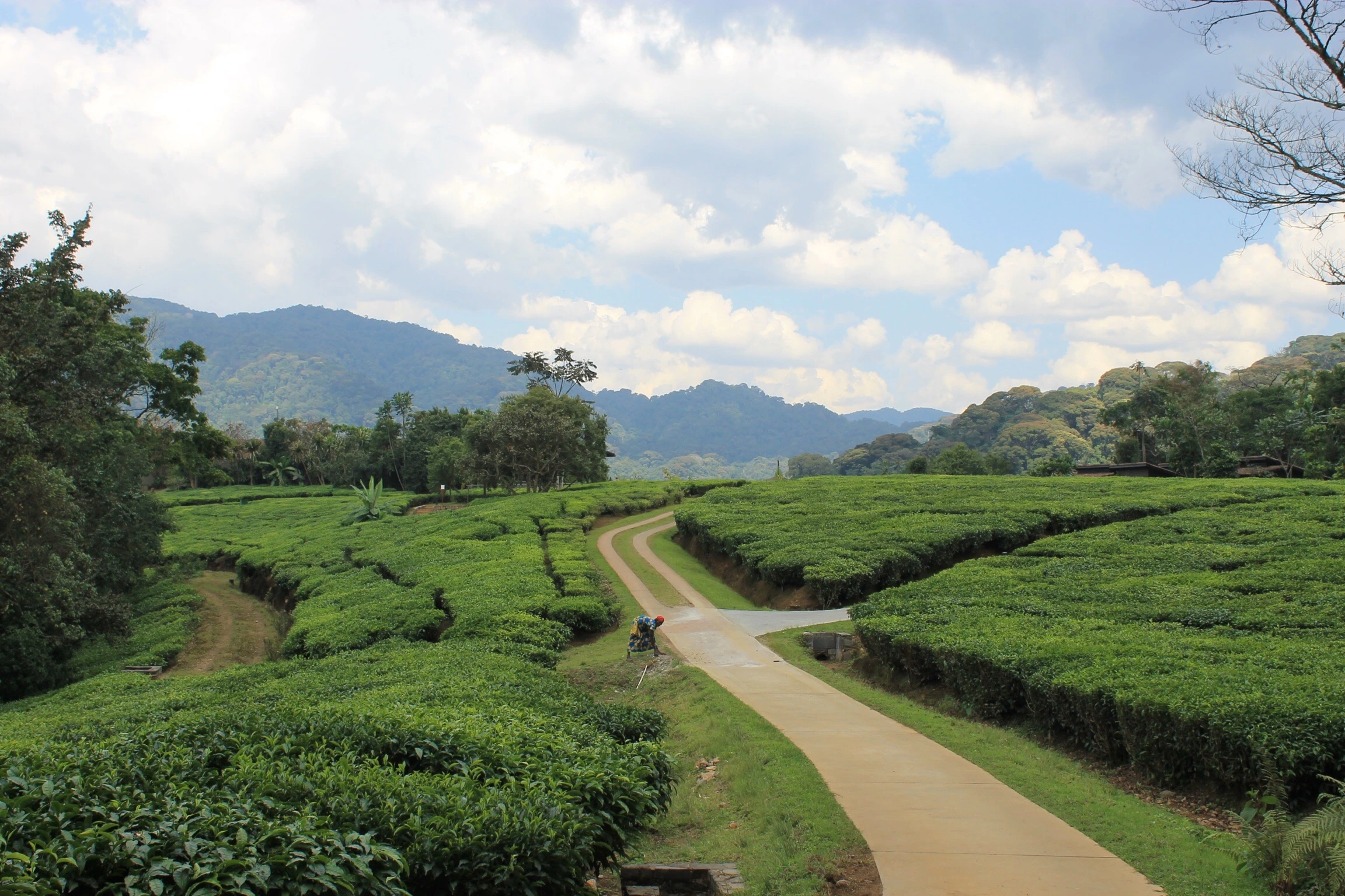 Scenic view of Rwanda
