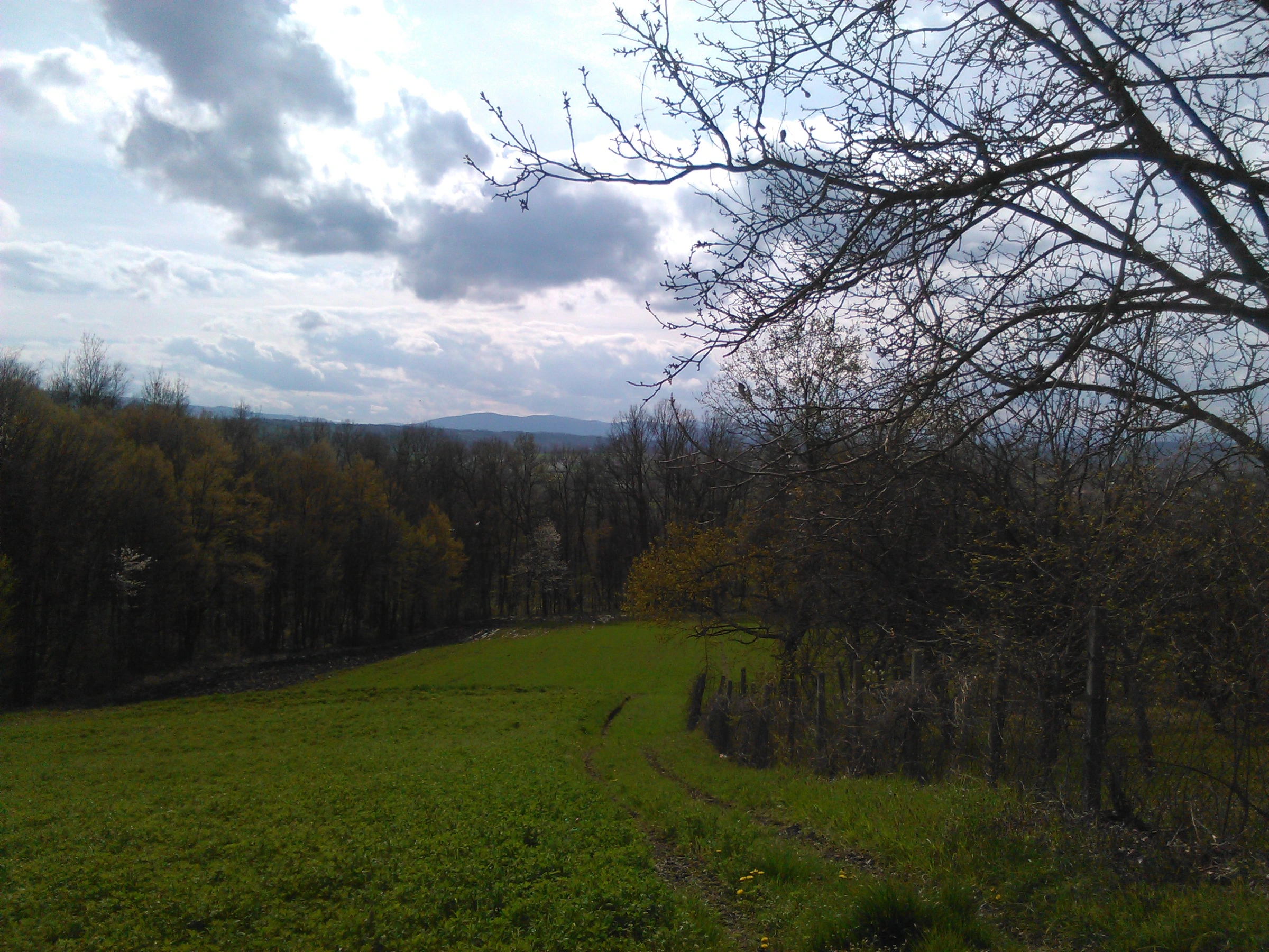 Scenic view of Serbia