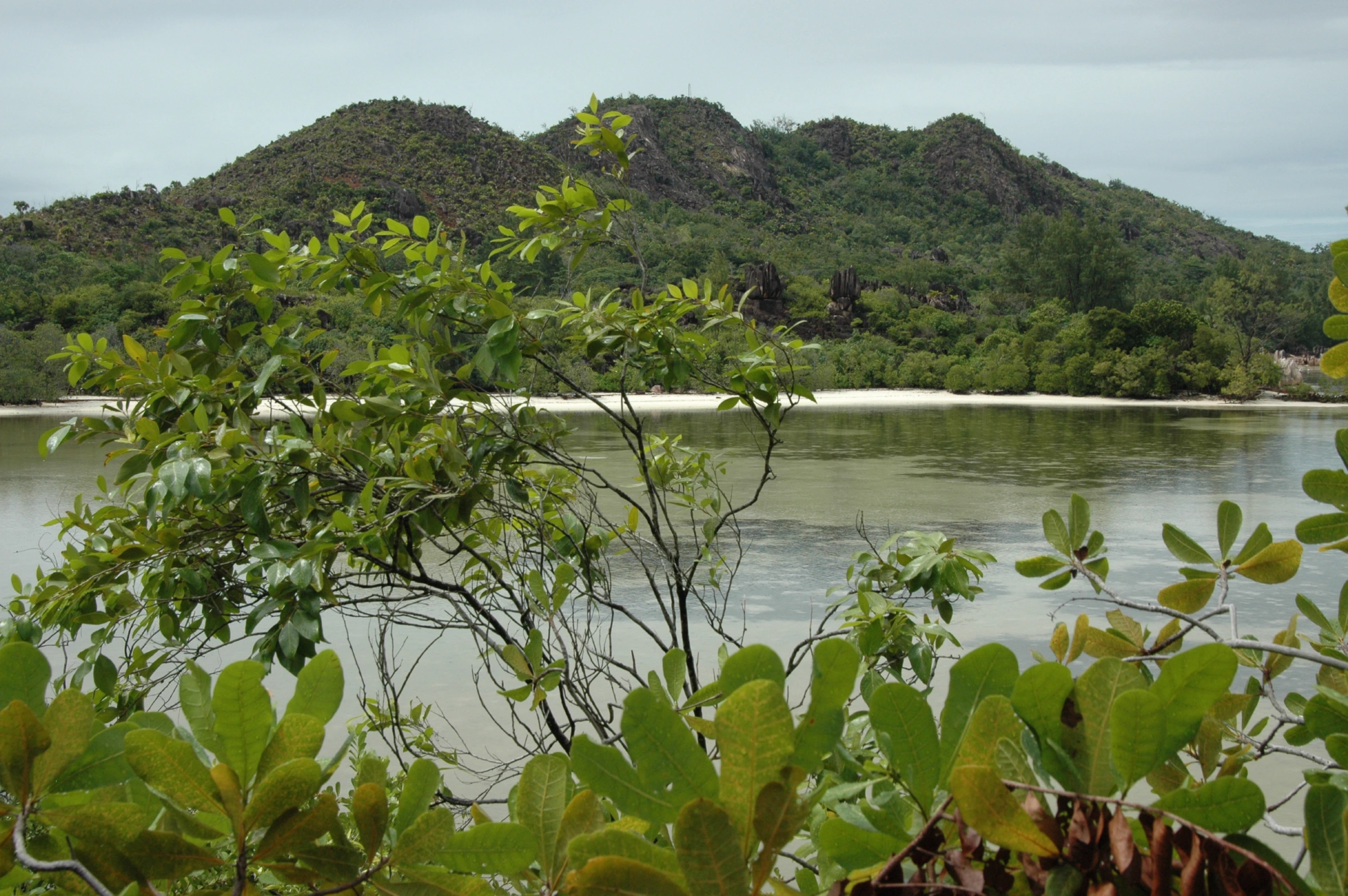 Scenic view of Seychelles