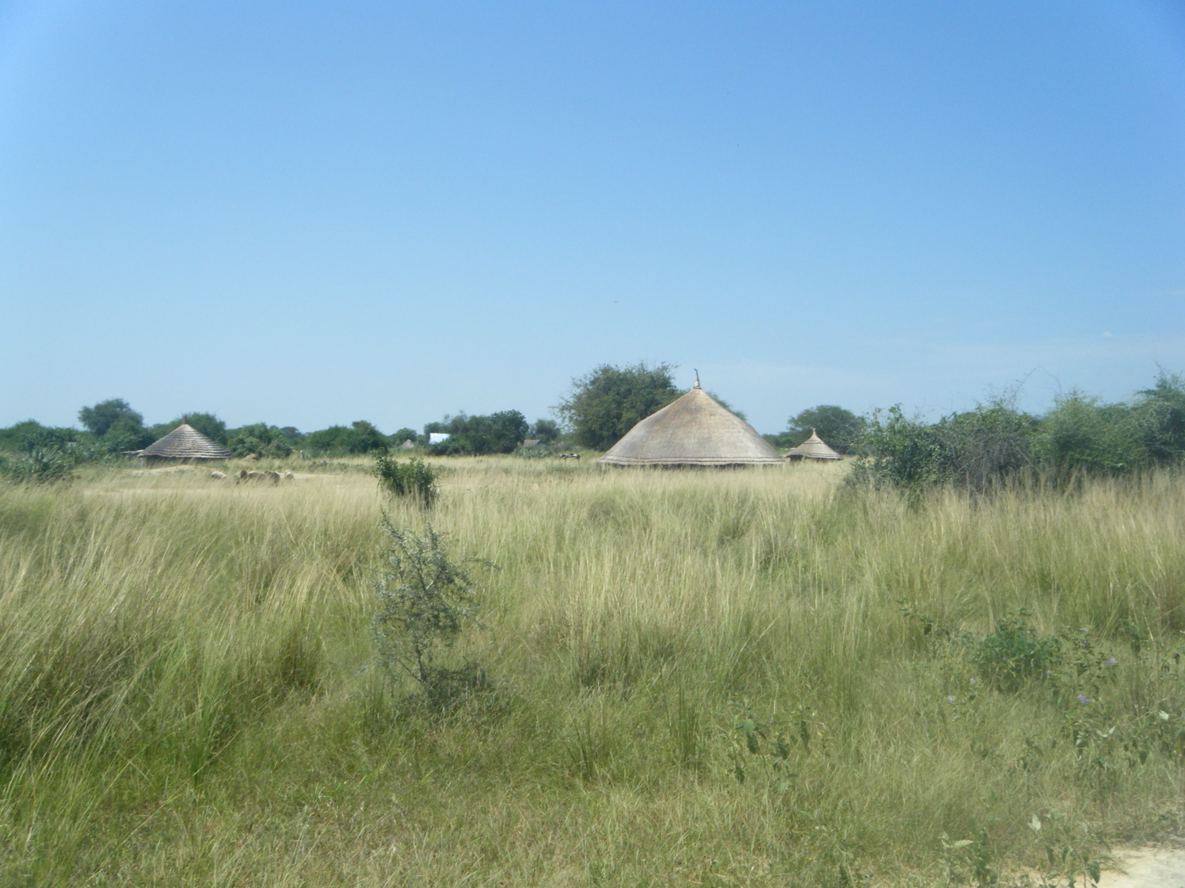 Scenic view of South Sudan