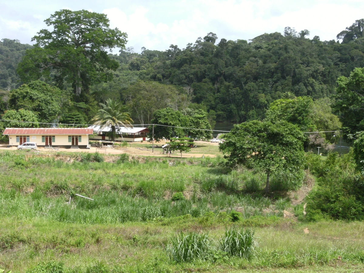 Scenic view of Suriname