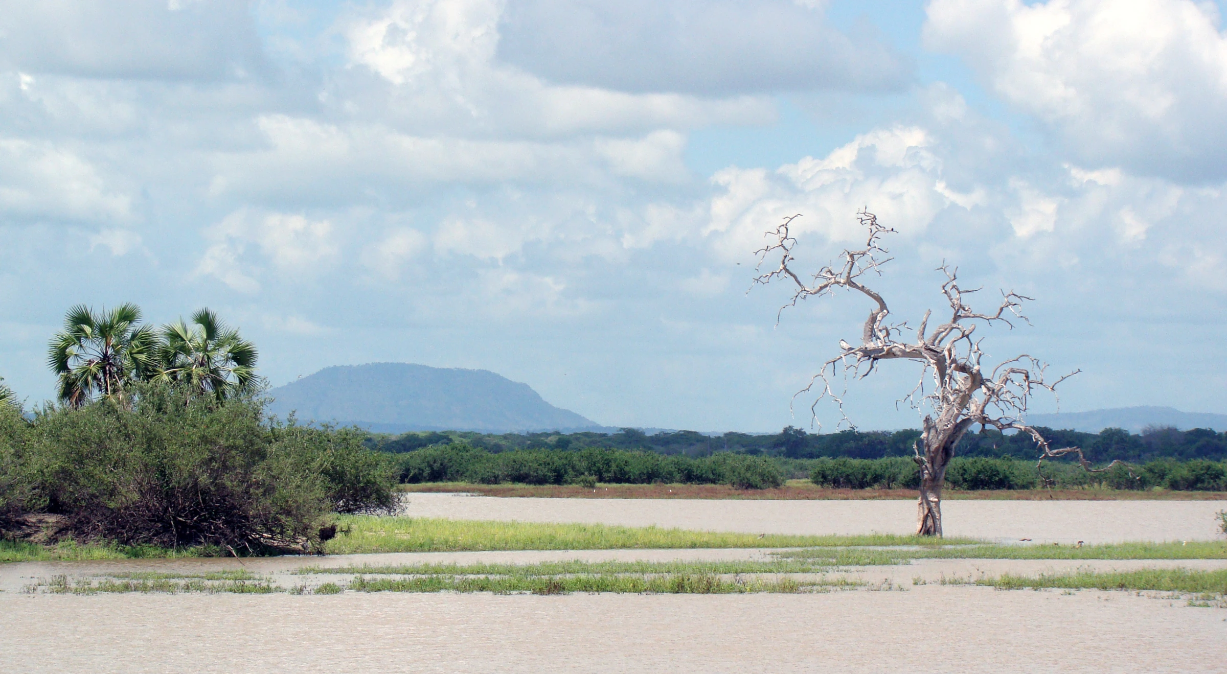 Scenic view of Tanzania