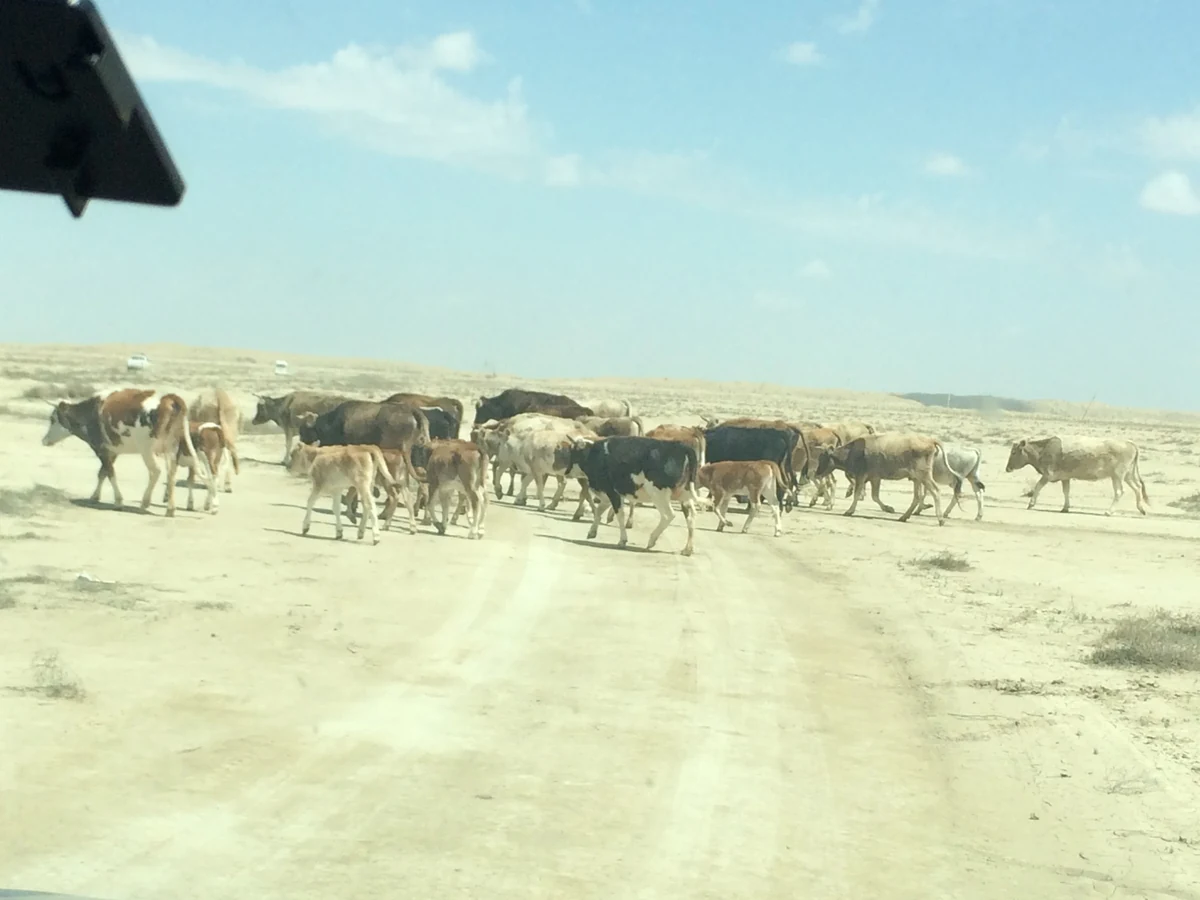 Scenic view of Turkmenistan