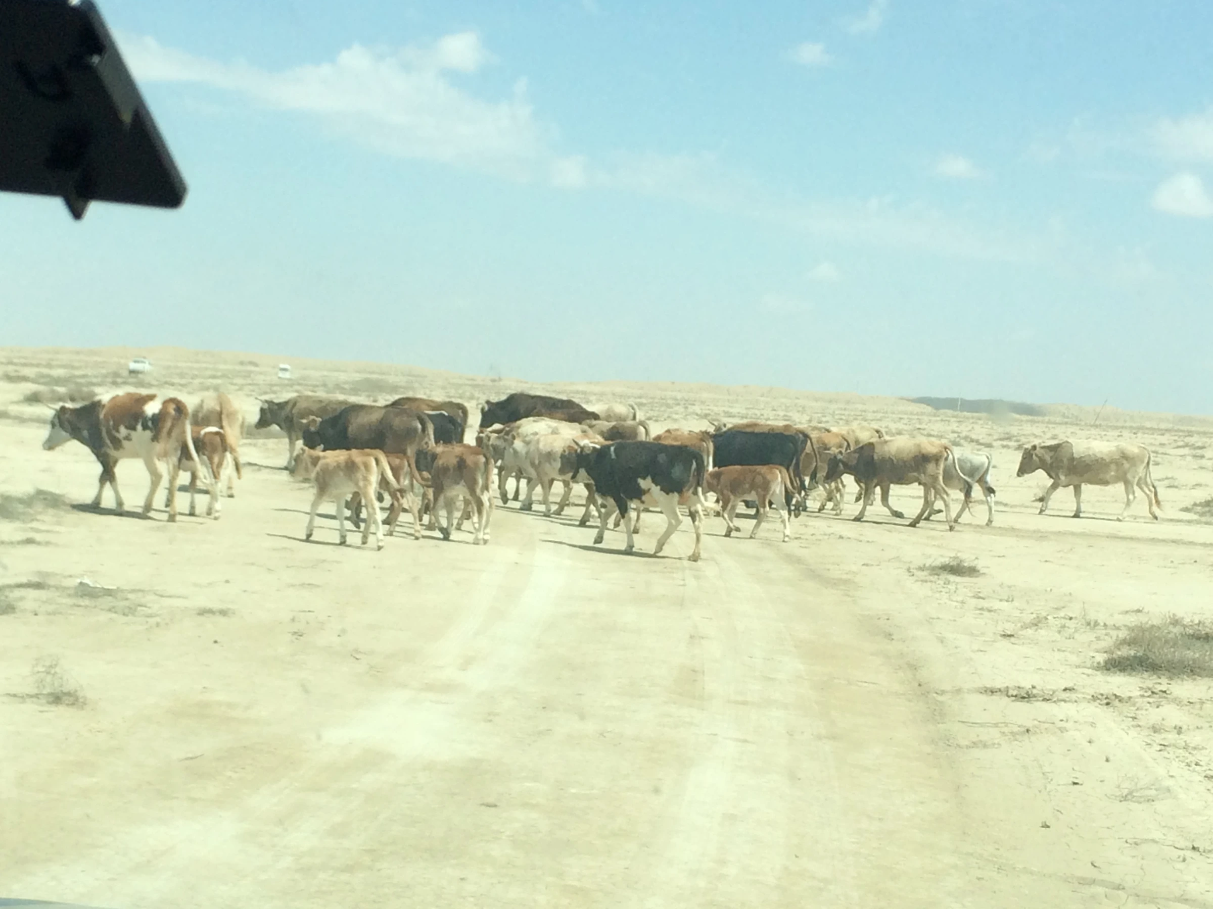 Scenic view of Turkmenistan