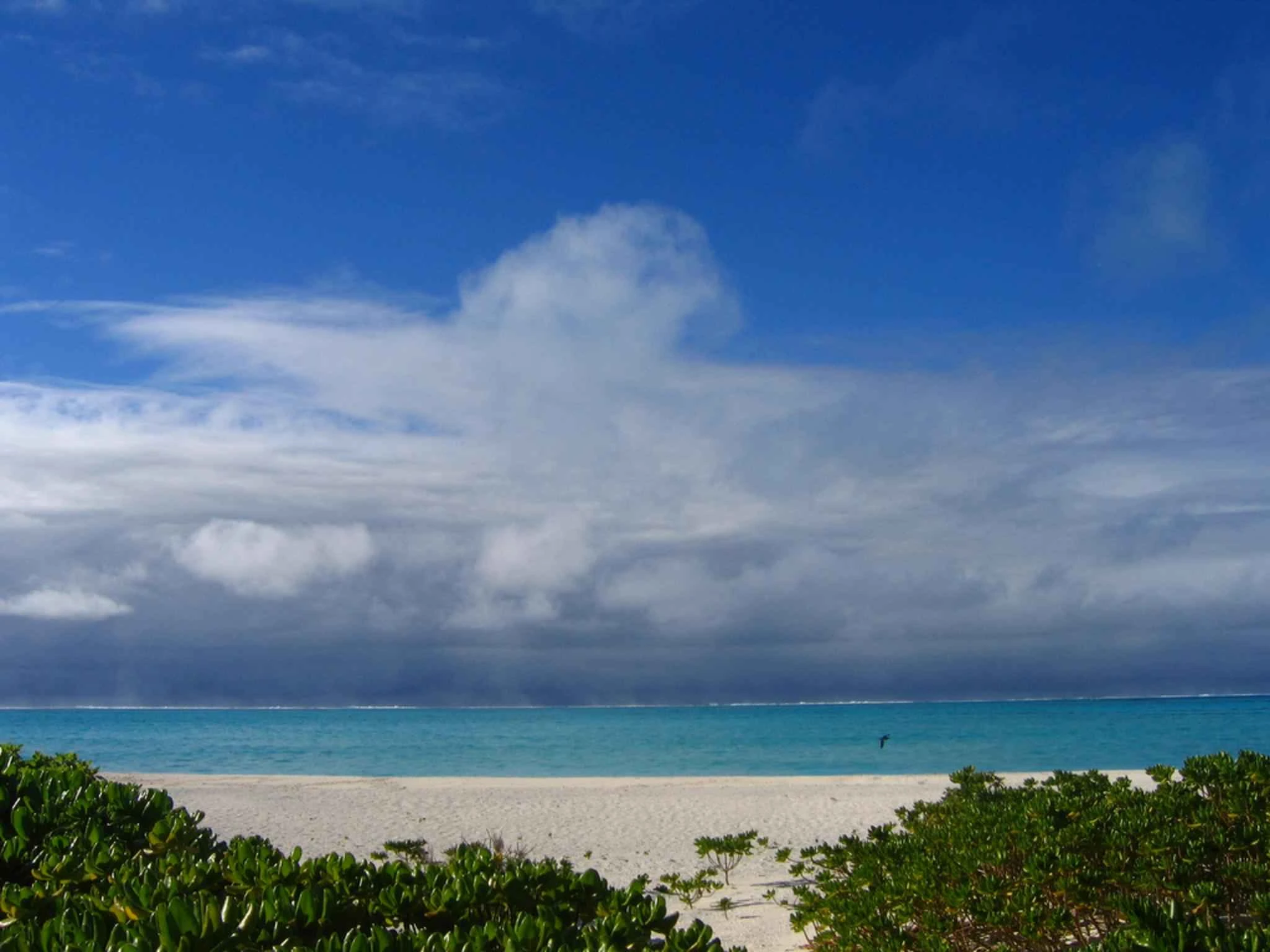 Scenic view of United States Minor Outlying Islands
