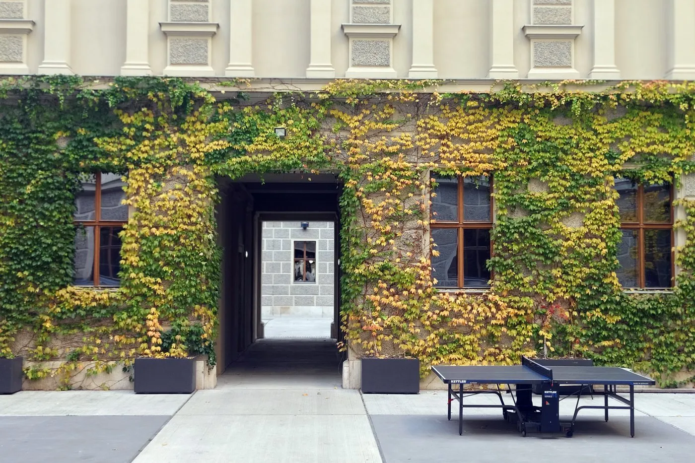 Banner image from the Academy of Fine Arts Vienna website