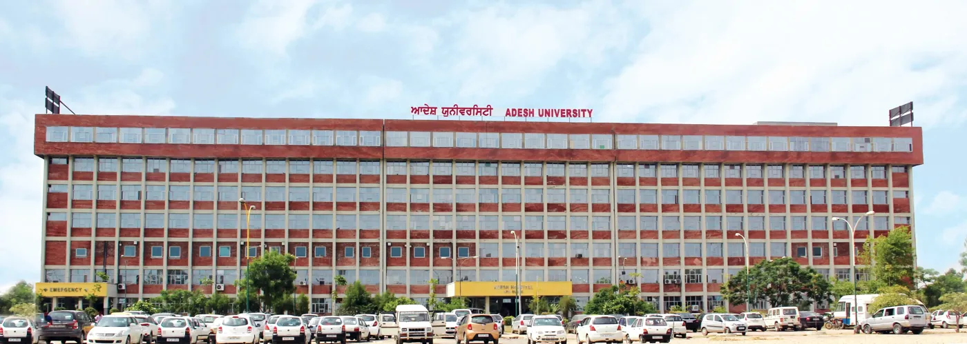 Banner image from the Adesh University website
