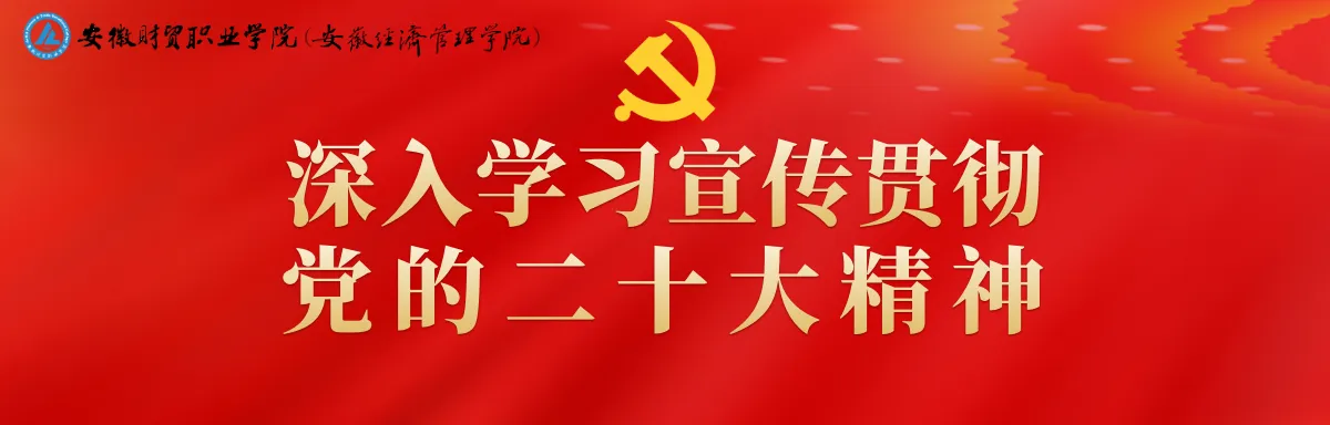 Banner image from the Anhui Finance & Trade Vocational College website