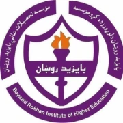 Bayazid Rokhan Institute of Higher Education logo