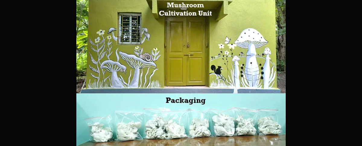 Banner image from the Brahmananda Keshab Chandra College website
