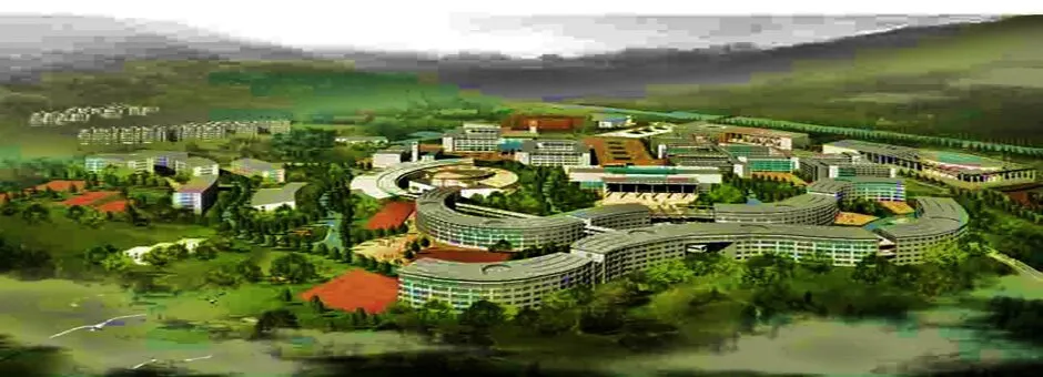 Banner image from the Chengde Medical University website