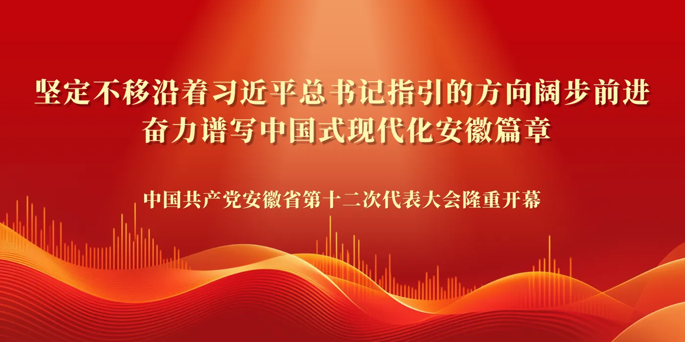 Banner image from the Chizhou University website