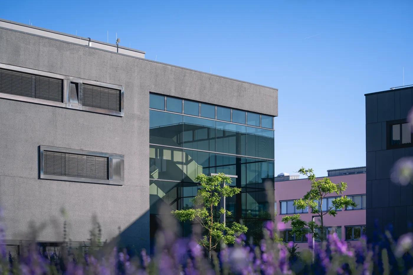 Banner image from the Deggendorf Institute of Technology website