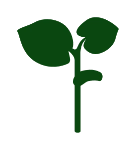 Ecole Supérieure d'Ingénieurs et de Techniciens pour l'Agriculture logo