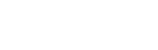 ESCE International Business School logo
