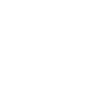 Federal University of Amazonas logo