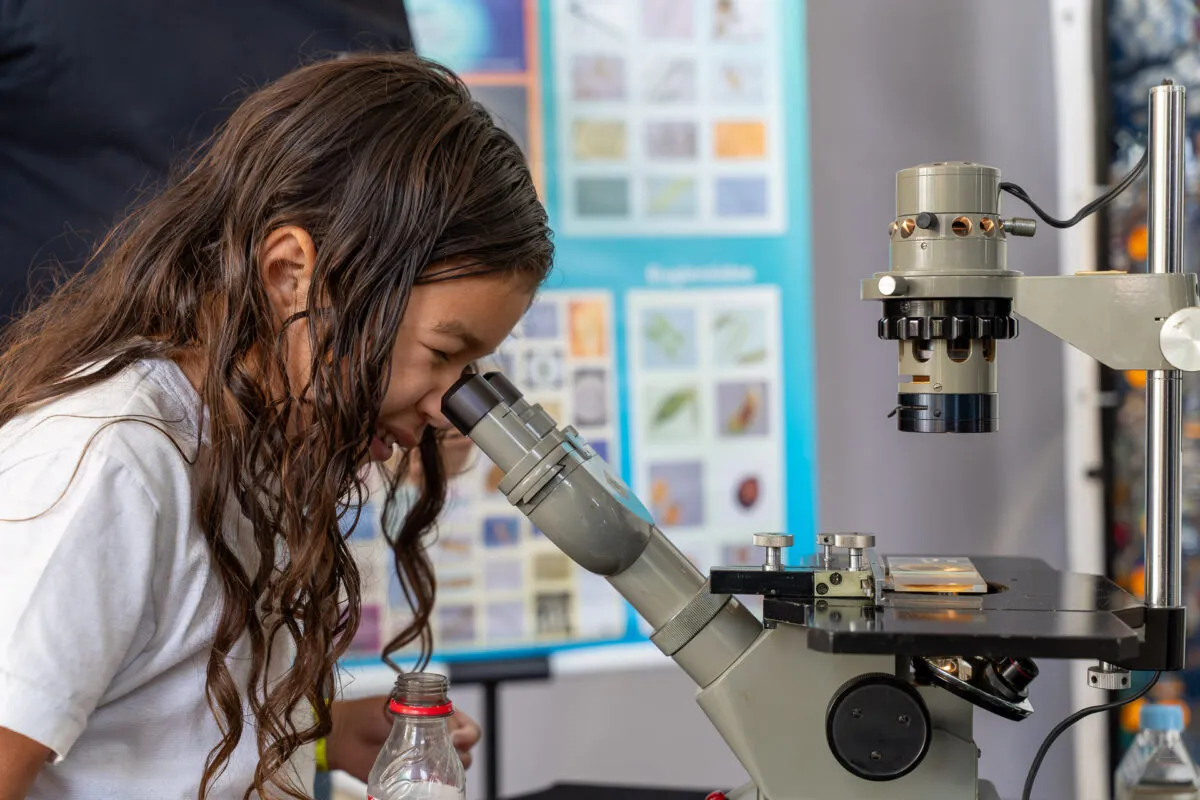 Banner image from the Federal University of Rio de Janeiro website