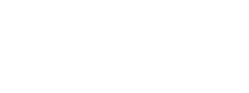 Finis Terrae University logo