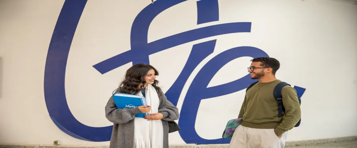 Banner image from the French University of Egypt website