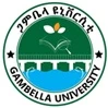 Gambella University logo